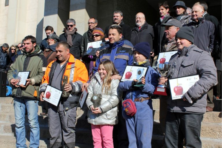 Bolets de Soca guanyadors al concurs de planters de la Fira de la Candelera de Molins de Rei