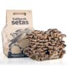 Sustrato para el cultivo de shiitake eco (Lentinula edodes)
